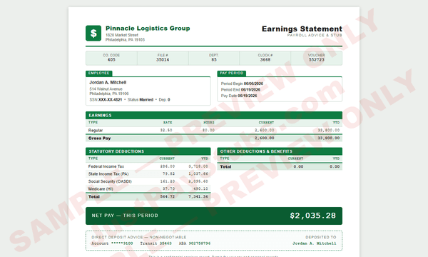 Payroll Processor sample pay stub template