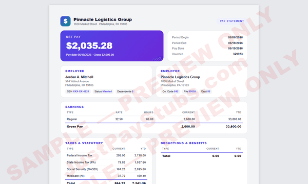 Modern Fintech sample pay stub template