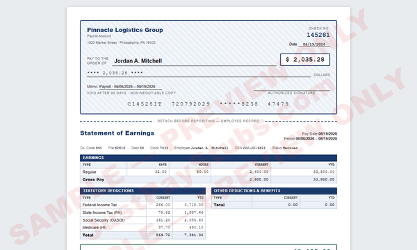Bank Check + Stub sample pay stub template