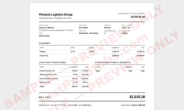 Minimalist sample pay stub template